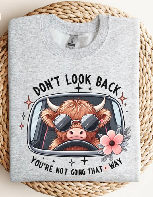 *GLITTER* DON’T LOOK BACK YOU’RE NOT GOING THAY WAY