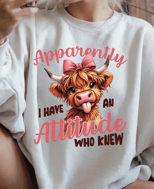 APPARENTLY I HAVE AN ATTITUDE WHO KNEW