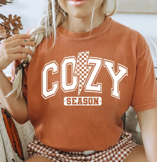 COZY SEASON CHECKERED LIGHTNING BOLT