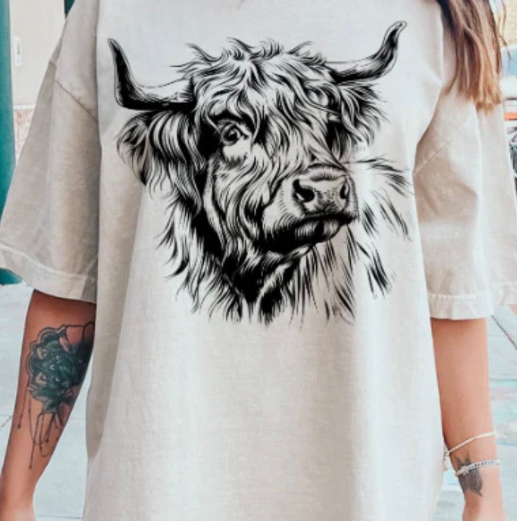 SHAGGY COW
