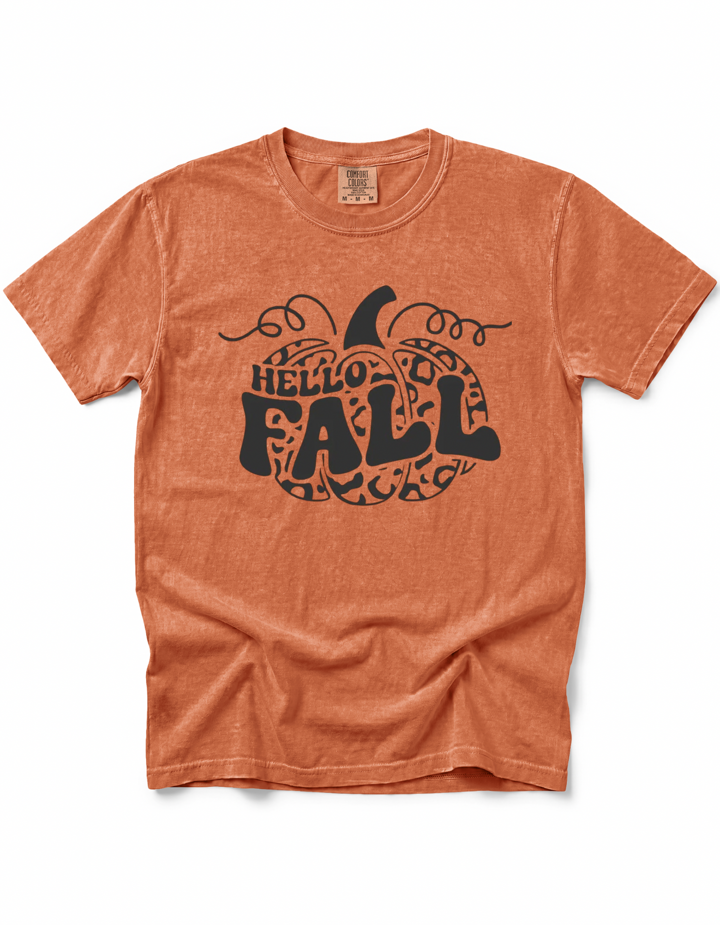HELLO FALL CHEETAH PUMPKIN