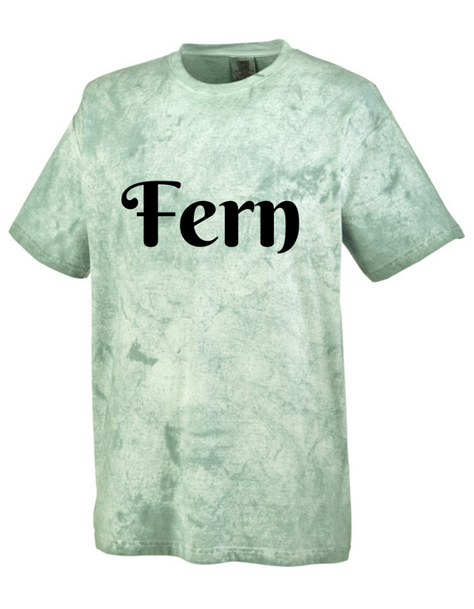Comfort Colors Adult Heavyweight Color Blast T-Shirt [FERN]