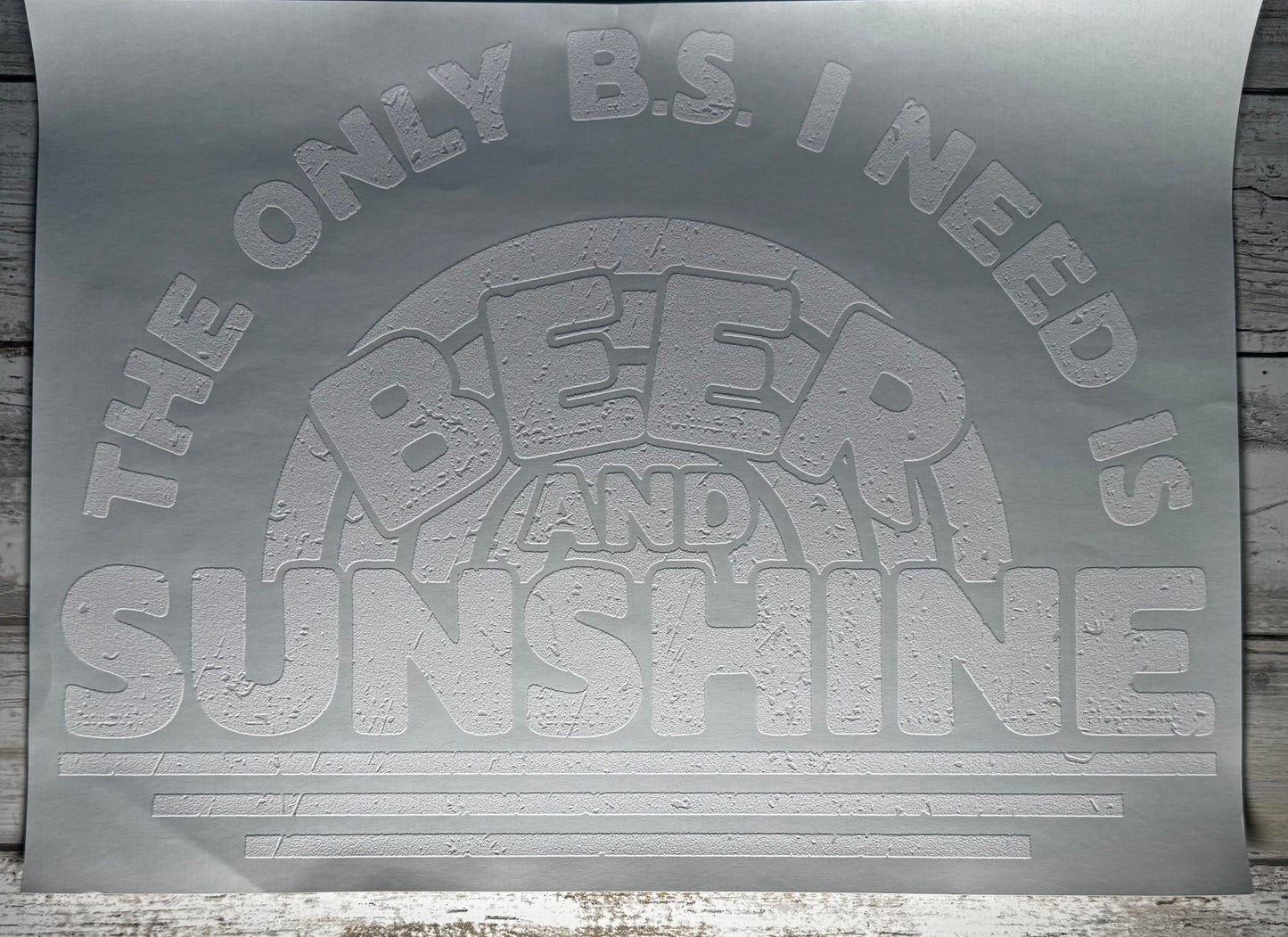 THE ONLY BS I NEED IS BEER AND SUNSHINE